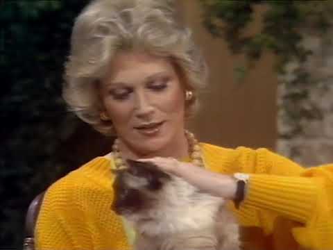 Dusty Springfield's Ragdoll Cat!