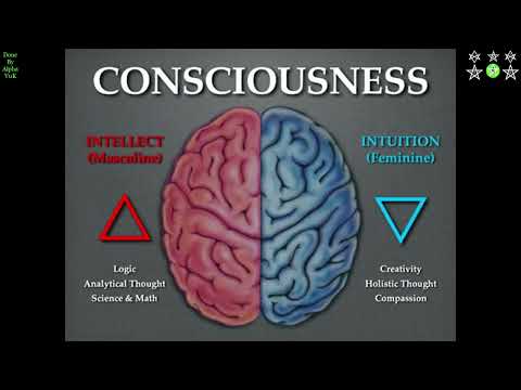 Mark Passio - "New" Age BULLSHIT (Deutsche Übersetzung by Vuk)