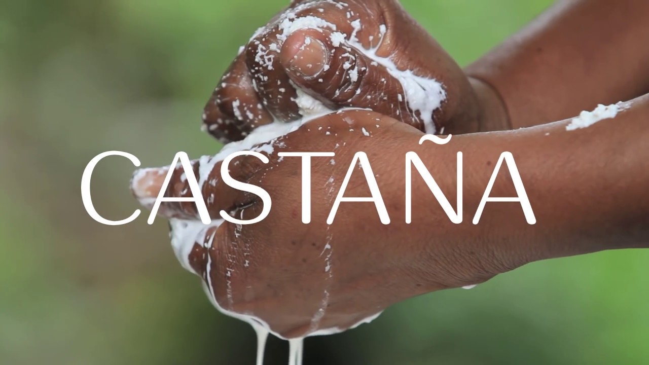 Natura | Ekos | Castaña