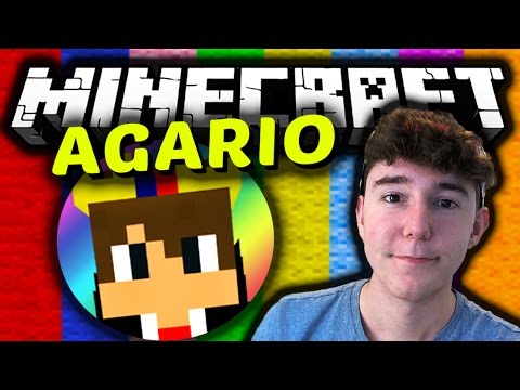 AGARIO IN MINECRAFT