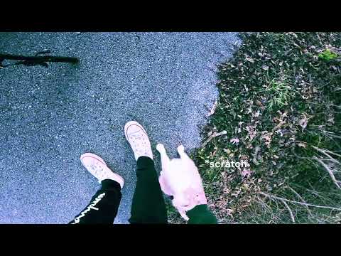 HOMELESS CAT ENCOUNTER!! (*damage taken*)