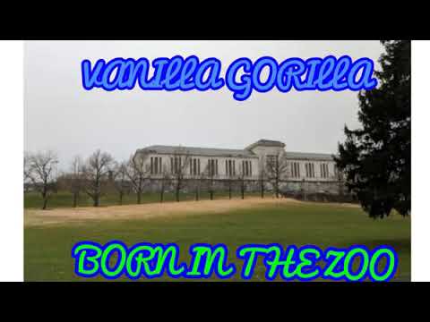 VANILLA GORILLA Born in the zoo Mixtape Demisbeat