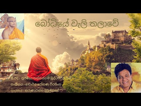 Bodhiye Weli Thalawe | Karunarathna Divulgane | Lyrics by Venerable Sannasgama Buddappriya Thero