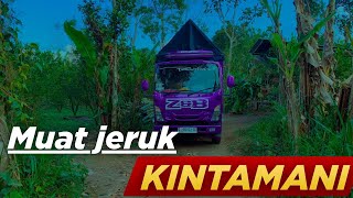 Download lagu DAPAT PENGIRIM & PENERIMA REWEL ‼️TRIP KONVOI BARENG MANTAN MUAT JERUK mp3