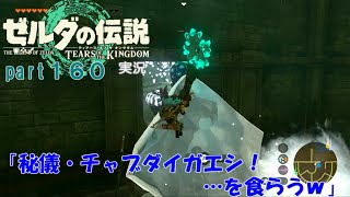 ゼルダの伝説ティアーズオブザキングダム実況part160