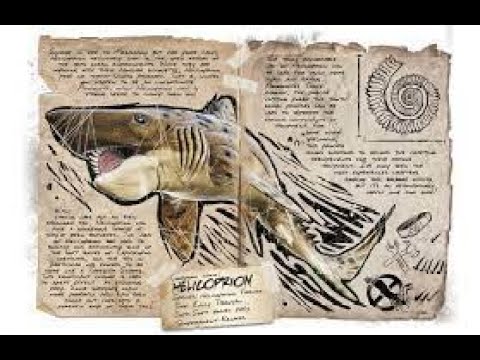 Ark Taming Series Ep. 64 | How to Tame a Helicoprion | Ark Additions The Collection | GUIDE