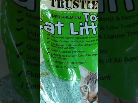 Dust Free Non Toxic CAT Litter #pawparent#cats