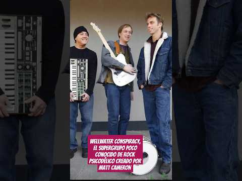 matt Cameron #shorts