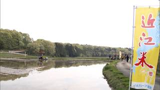 4月20日【びわ湖放送ニュース】極早生品種「ハナエチゼン」の田植え始まる