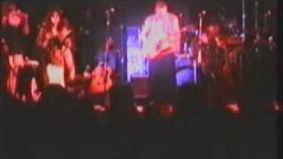 Rusted Root at the GrassRoots Festival 1994