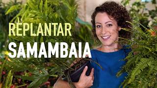 Miniatura do vídeo