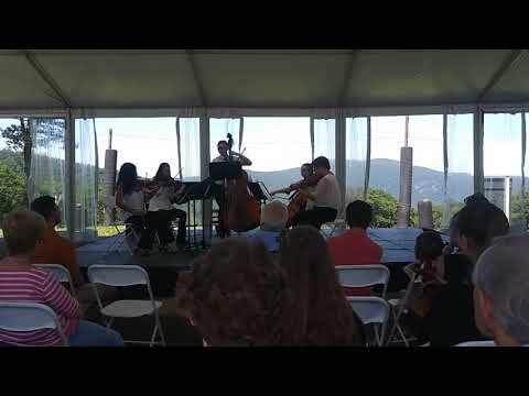 Bottesini Bass Quintet, mvt. 1 (Part 2)