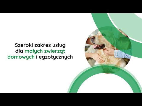 Felis Przychodnia Weterynaryjna Agnieszka Hałaczkiewicz-Czernicka - video