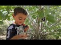 Escape For Love Children S Escape From Heshmatullah And Building A House For Their Father And Wife