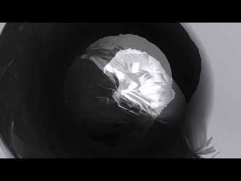 CTAFAD - Sun (Music Video)