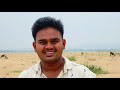 Majnu Video Songs ||Oorikey Ala Full Video Song || Sai Goud || Telugu Songs (2016)||