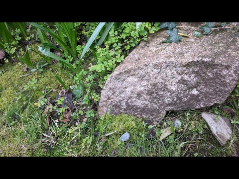 One place is all places - Eurorack and Portastudio