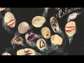 Future Islands - Pangea 