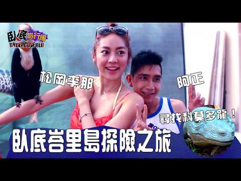 峇里島尋科莫多龍