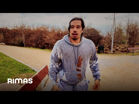 Daniel Huen - TODO MAL (Visualizer)