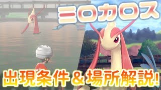 ヒンバス ポケットモンスター メルタン パッチラゴン ポットデス