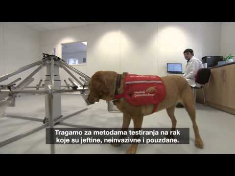 Al Jazeera Svijet 07.06.2015. - Nedjelja 21:30