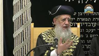 מרן זצ"ל: "מהרגע שגיליתי את הגמרא, מעולם לא שיחקתי" I מרן הראשון לציון הגאון רבי דוד יוסף שליט"א (מוסדות יחווה דעת) - התמונה מוצגת ישירות מתוך אתר האינטרנט יוטיוב. זכויות היוצרים בתמונה שייכות ליוצרה. קישור קרדיט למקור התוכן נמצא בתוך דף הסרטון