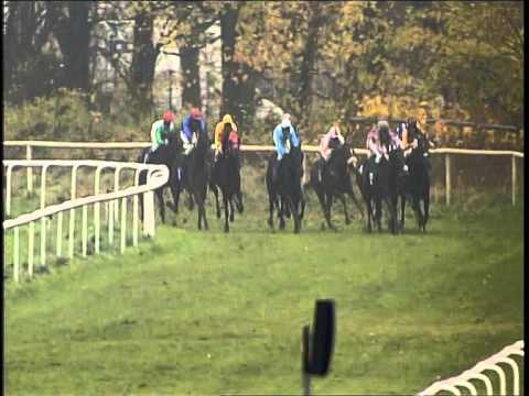 Galopprennbahn Dresden - 19.11.2014 - 7.Rennen