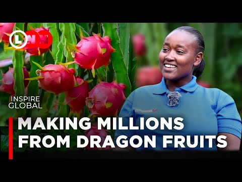I started dragon fruit farming with my husband, we are now making millions | Lynn Ngugi Network
