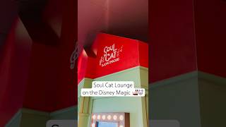 Disney Magic Tour | Soul Cat Lounge