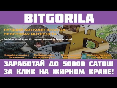 Bitgorila - Жирный кран + бесконечный бонус + сёрфинг!