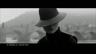 2017.02.06 【玉米自制】Yuki × Chirs Lee - 合理の伤 【天海佑希×李宇春】合理哀伤 Li Yuchun Chris Lee