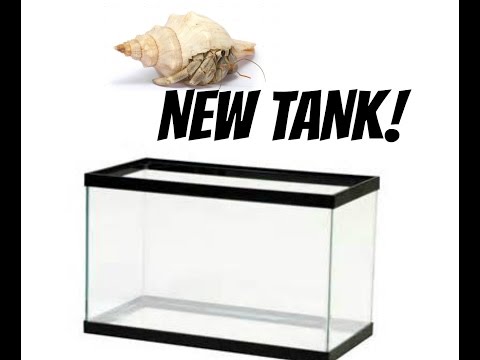 My New Hermit Crab Tank! (10 Gallon)