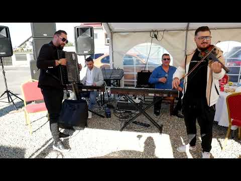 George Nicoloiu urca oile la munte #live