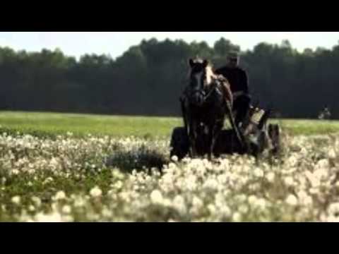 Menu aš Tėviškę. Klajūnai