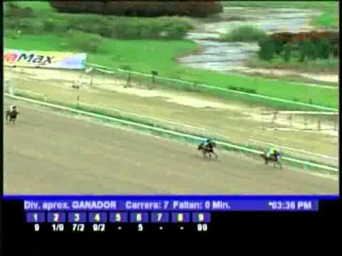 Resumen Sabado, 28 de Enero de 2012 - La Rinconada