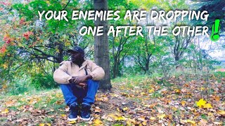 أعدائك يسقطون واحدًا تلو الآخر، أيها المختار👁️