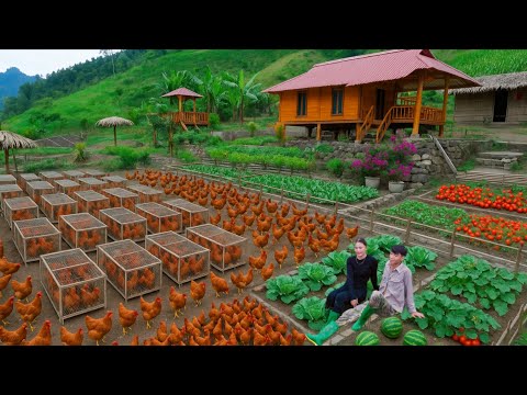 4 lata poza siecią: sprzedawaliśmy kurczaki na targu, uprawialiśmy własne jedzenie i znaleźliśmy