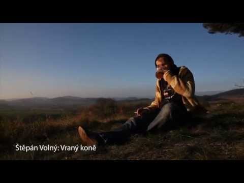 Štěpán Volný - Vraný koně - Štěpán Volný