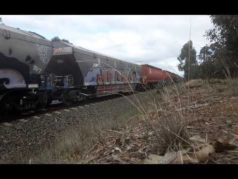 SSRs C509 -GM10-BRM001 on a North Bound loaded grain train from Western Victoria at Springhurst
