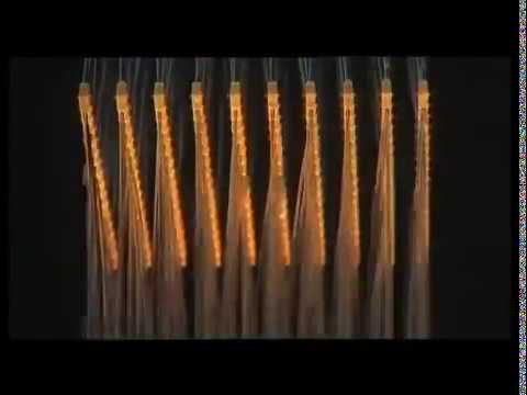 Видеообзор