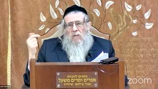 הרה"ג הרב וועכטר שליט"א ט"ו שבט תשפ"ד - מאמר הרבי ד"ה ארבע ראשי שנים תשל"א חלק ג (הרב אברהם מנחם מענדל וכטר) - התמונה מוצגת ישירות מתוך אתר האינטרנט יוטיוב. זכויות היוצרים בתמונה שייכות ליוצרה. קישור קרדיט למקור התוכן נמצא בתוך דף הסרטון