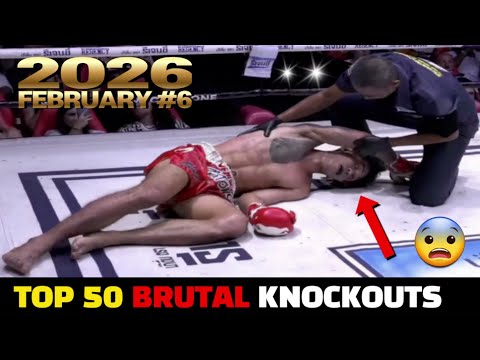 Top 50 MMA & Muay Thai•Boxing Brutal KO集 | February 2026 #6