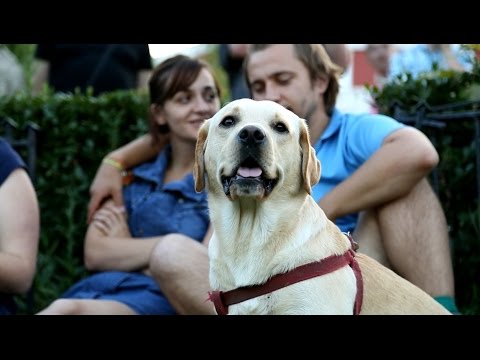 Visszhang: A zene, mint közösségi élmény – 2016. április 17.