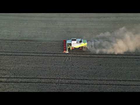 Mähdrescher in der Pfalz