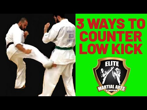 How to DEFEND LOW KICK & COUNTER combination in KYOKUSHIN Karate