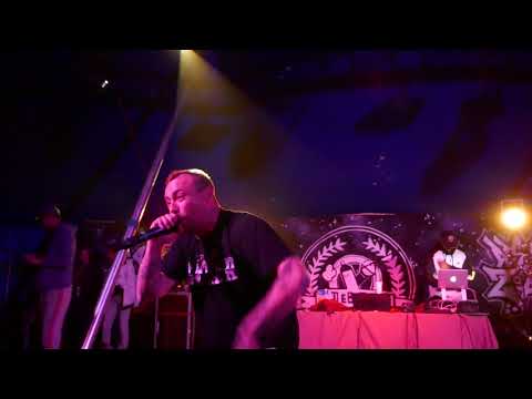 Swift Guad Nuits Blanches (L'Hexaler x Paco)