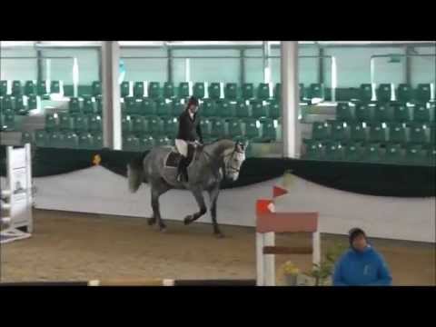 Camelot v. Calido I - Acord II, Turnier Zweibrücken