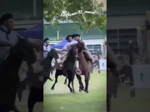 monta especial en Saladillo Prov de Buenos Aires, Kili Pellisero vs la Negrita de Mendizábal