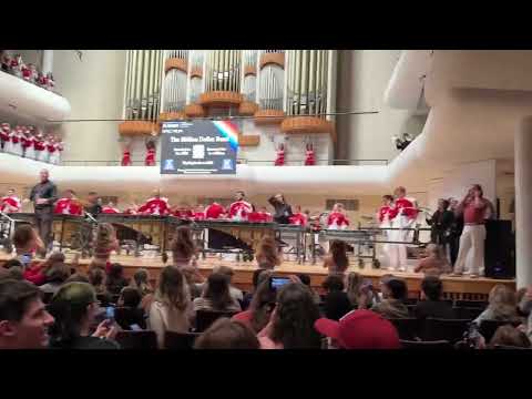 Basket Case (million dollar band spectrum concert 2024)#alabama